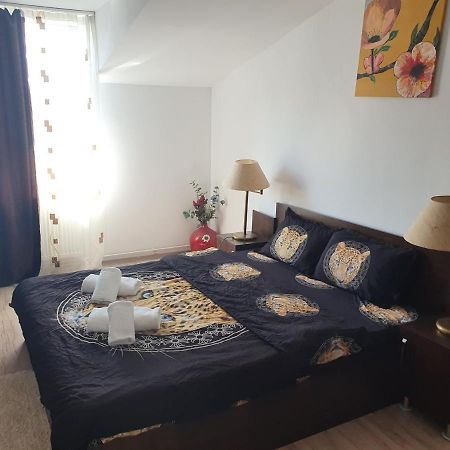 Casa Lions Ξενοδοχείο Τιμισοάρα Εξωτερικό φωτογραφία