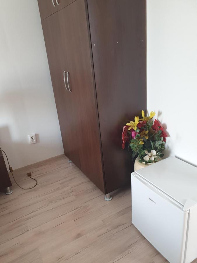Casa Lions Ξενοδοχείο Τιμισοάρα Εξωτερικό φωτογραφία