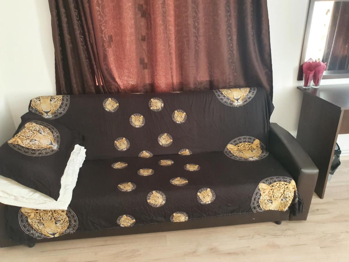 Casa Lions Ξενοδοχείο Τιμισοάρα Εξωτερικό φωτογραφία