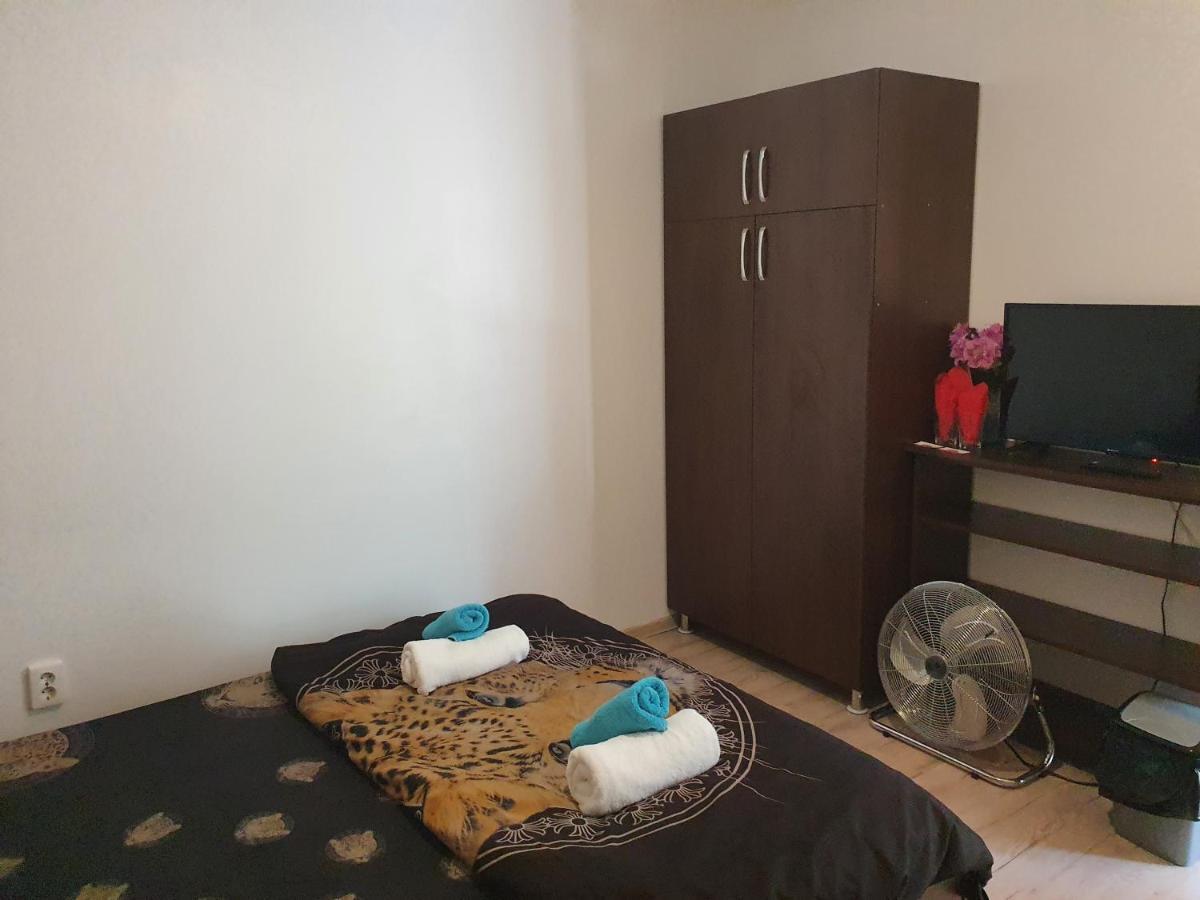 Casa Lions Ξενοδοχείο Τιμισοάρα Εξωτερικό φωτογραφία