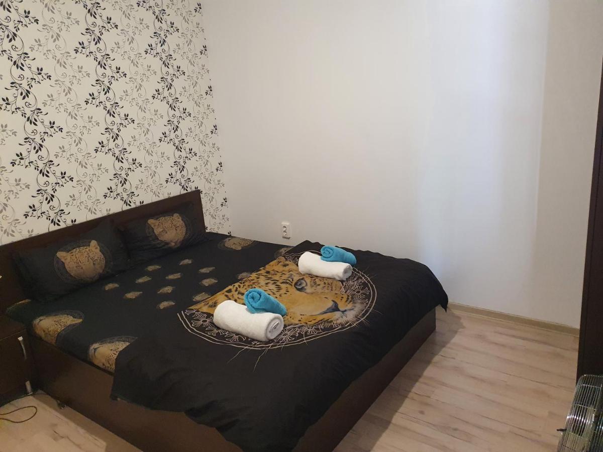 Casa Lions Ξενοδοχείο Τιμισοάρα Εξωτερικό φωτογραφία