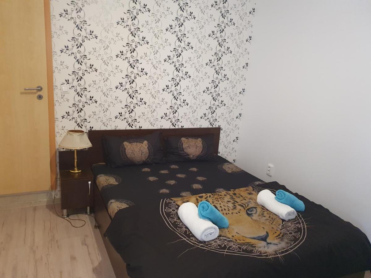 Casa Lions Ξενοδοχείο Τιμισοάρα Εξωτερικό φωτογραφία