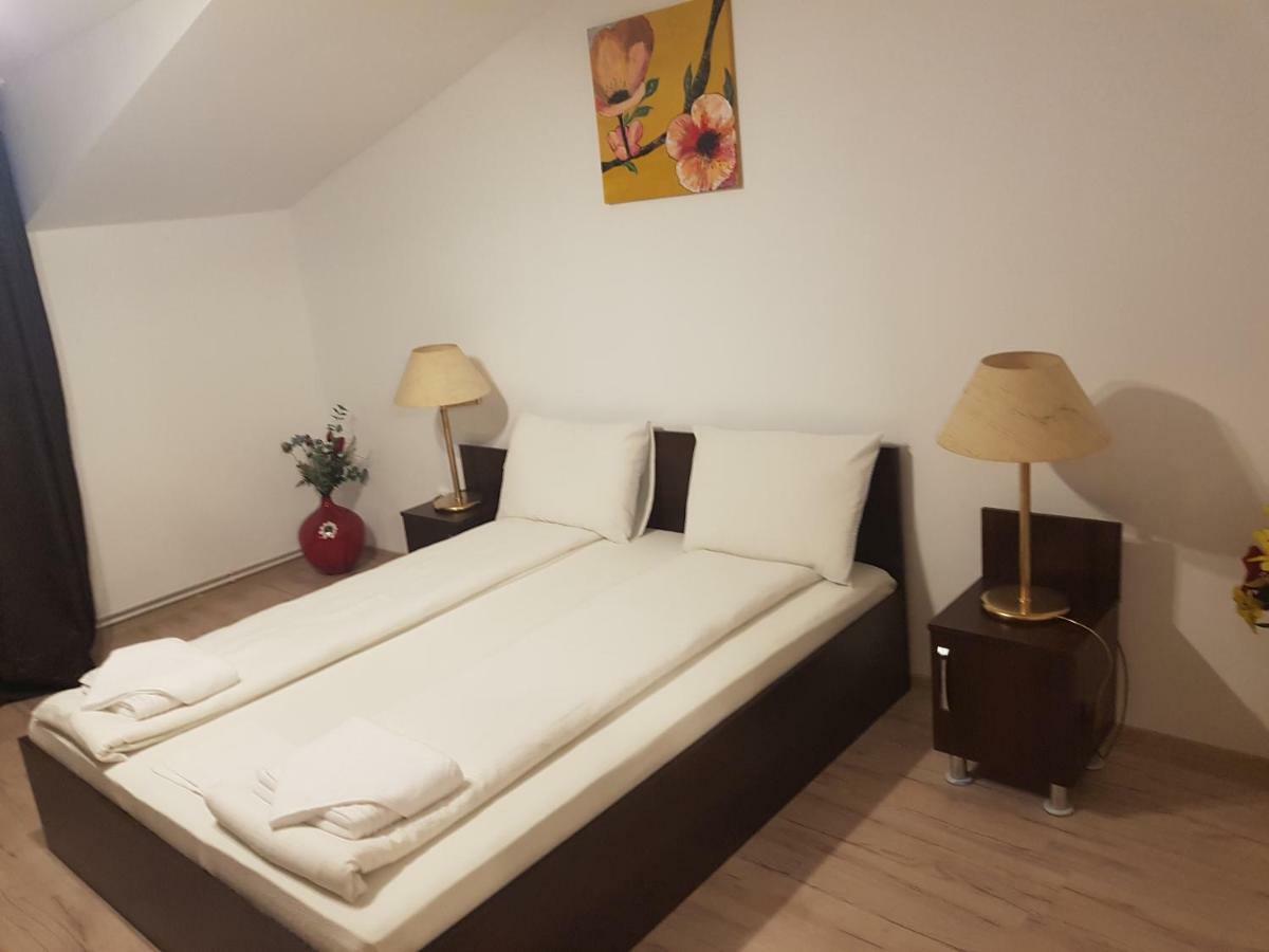 Casa Lions Ξενοδοχείο Τιμισοάρα Εξωτερικό φωτογραφία