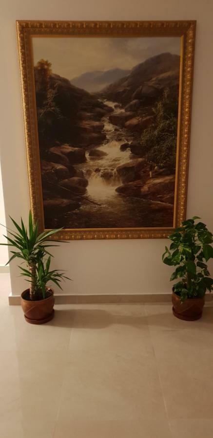 Casa Lions Ξενοδοχείο Τιμισοάρα Εξωτερικό φωτογραφία