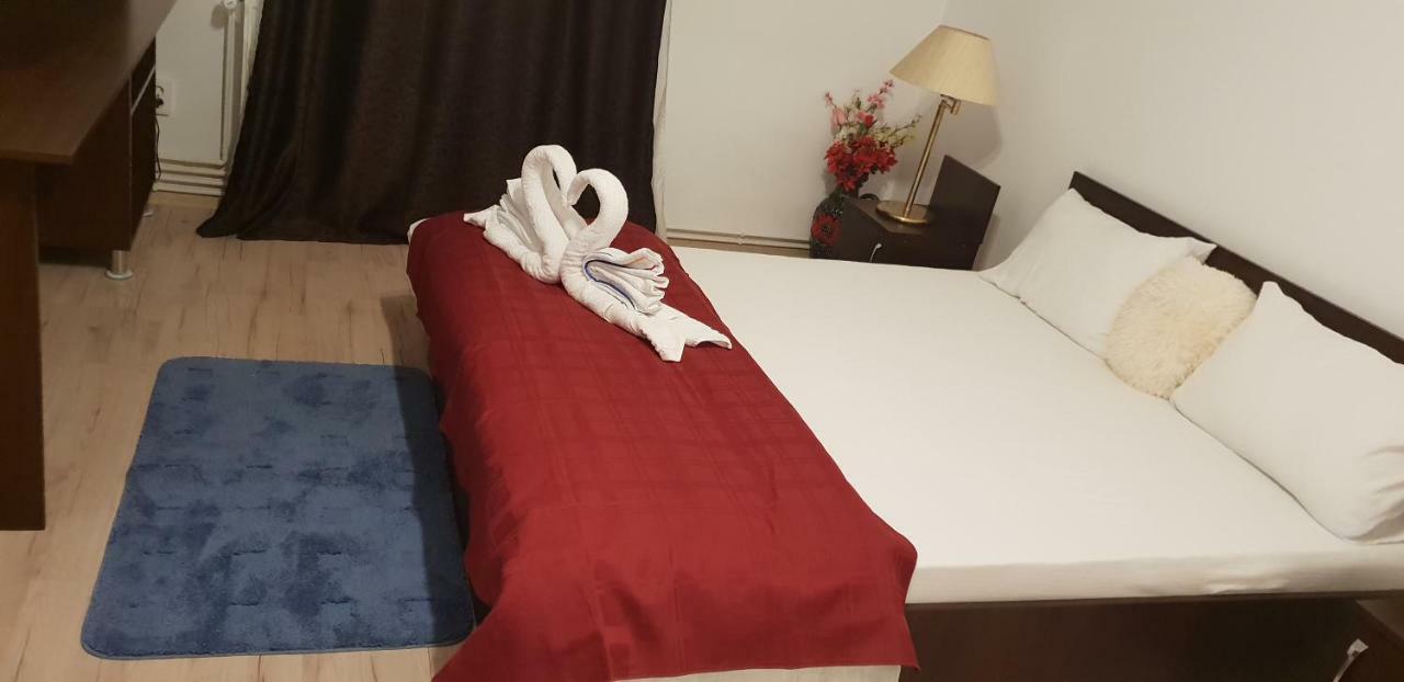 Casa Lions Ξενοδοχείο Τιμισοάρα Εξωτερικό φωτογραφία
