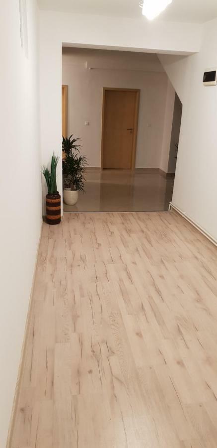 Casa Lions Ξενοδοχείο Τιμισοάρα Εξωτερικό φωτογραφία