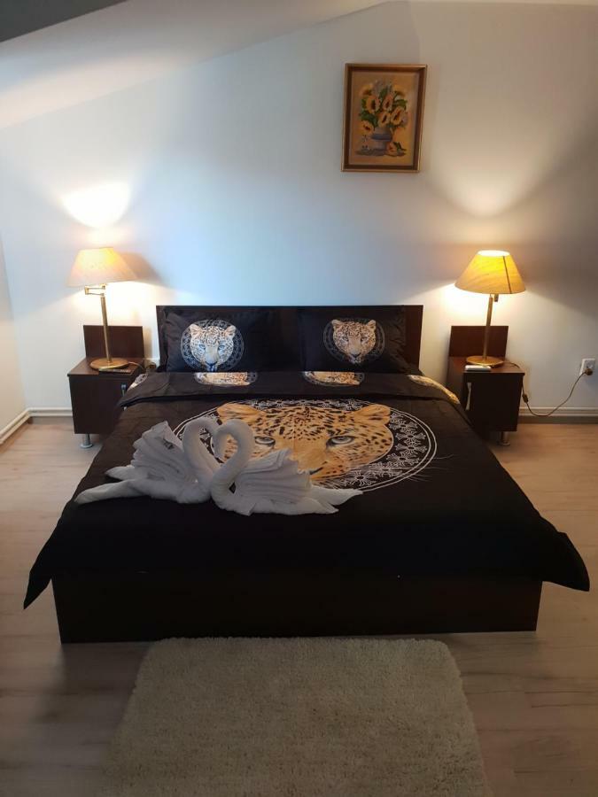 Casa Lions Ξενοδοχείο Τιμισοάρα Εξωτερικό φωτογραφία