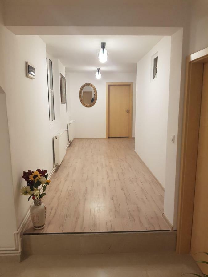 Casa Lions Ξενοδοχείο Τιμισοάρα Εξωτερικό φωτογραφία